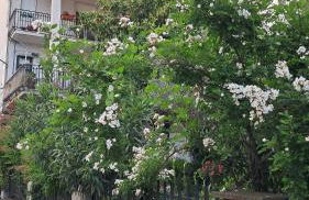 Casa Marietta - Foto 27