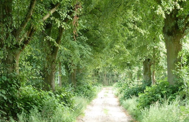 Herrenhaus Röddelin - Foto 6