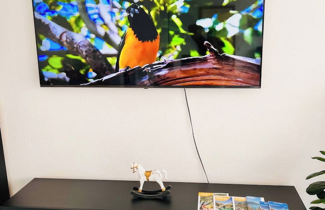 Enchanting View of Lake Maggiore & Mountains - Photo 10