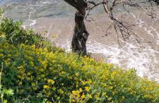 Casa di Maia, piscina, posto auto e giardino - Foto 13