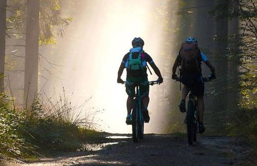 Bayerwald Chalet Kaitersberg mit Sauna, Sonnenterrasse und Garten - Foto 23