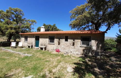 Casa da Vinha - Foto 10