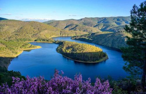 Apartamentos Turísticos Cardelemin - Foto 10