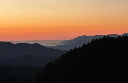 Chalé Azaléia - Foto 15