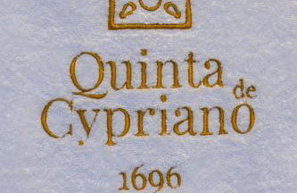 Quinta de Cypriano - Wine & Nature - Foto 134