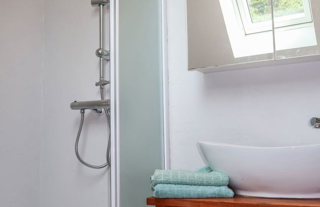 Les Hortensias - Foto 11