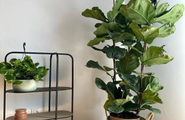 Oktheway Pedro Saco Street 2 - Foto 11