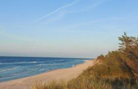 Domki Czarny Bocian - Foto 59