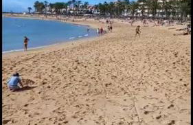 Chill Out Tenerife Sud - monolocale con piscina riscaldata - Foto 42