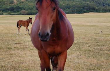 La Dimora in Pietra - Foto 36