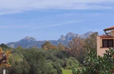 Nido d'amore ad Arzachena - Foto 18