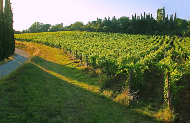 Agriturismo La Striscia - Foto 41