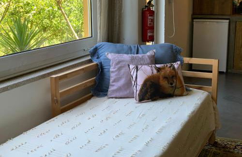 Loft - Casinha à Porta - Foto 46