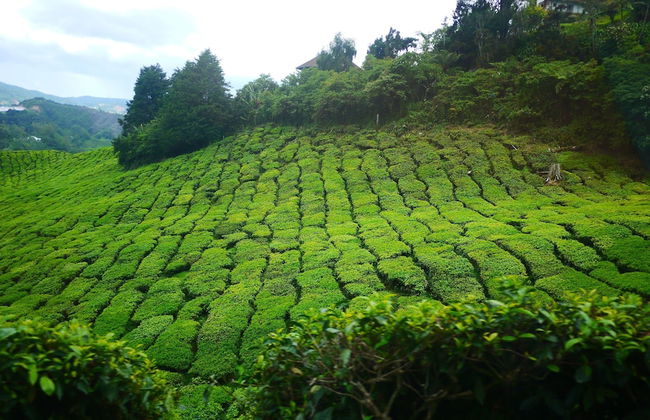 Zetter Suites - Foto 17