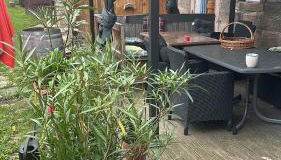 Himmelsscheibe - Foto 2