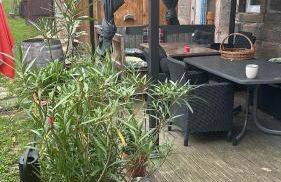 Himmelsscheibe - Foto 2