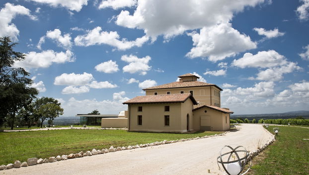 Cincinnato Wine Resort - Foto 2, Imagen principal