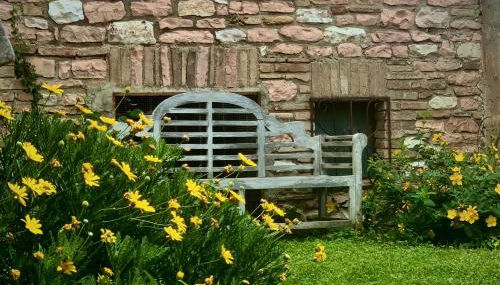 Il Giardino dell'Abate di Collepino - Spello - Foto 3, Garden