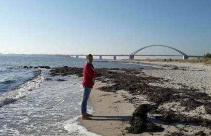 FW Einfeldt - Foto 15