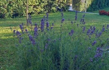 Apartman Megi & studio apartman Tomi - SELF CHECK IN - Foto 53