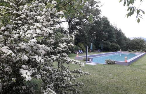 Poggio a Sieve - Foto 8