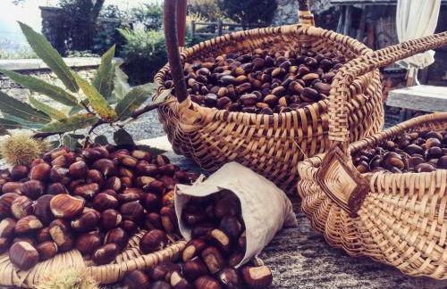 Agriturismo Treterre - Foto 34