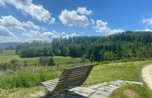 Cozy home in South-germany - Foto 23