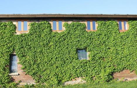 Ferienwohnungen Kanuhof - Foto 8