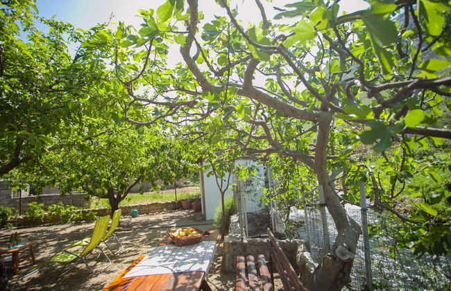 House With Large Garden, Right Next to the River - Foto 45