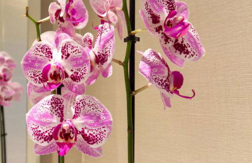 Terrazza61 - Appartamento con vista spettacolare sulla città di Cagliari - Foto 22