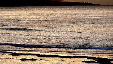 Alma Canteras - Photo 5