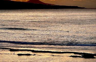 Alma Canteras - Photo 5