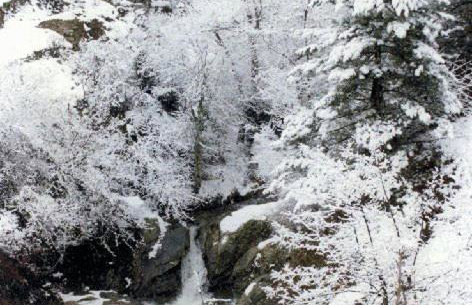 Villa Kastanodasos - Foto 28