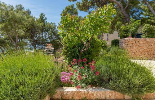 Apartments Silvana - Foto 45