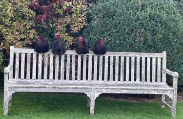 Masons Cottage, an Idyllic retreat in an area of outstanding beauty, close to Blenheim Palace, Oxford & The Cotswolds - Photo 22