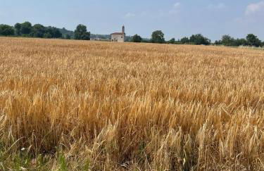 La casa di Noah - Foto 62