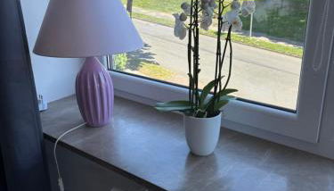 Ferienwohnung Osterode - Foto 5