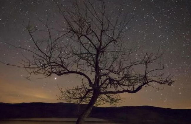 El Rincon de Palmacio - Foto 33