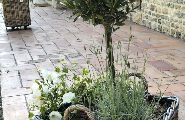 Le Clos de la Madeleine - Foto 21