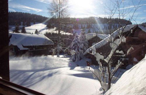 Ferienhaus Bernau13, Rechbergblick - Foto 36