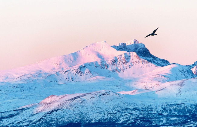 6 Person Holiday Home in Nord-lenangen - Foto 12