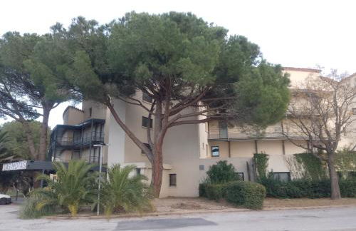 ANTIQUA ROMA - via temporis CXIV - Foto 25