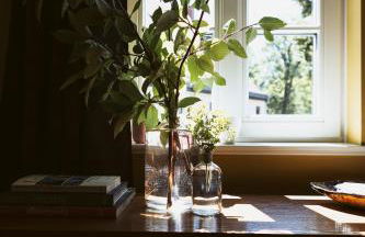 Flecksches Gut - Foto 69