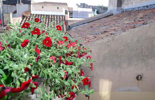 La Ciriciccia - Foto 34