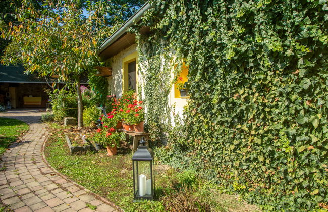 Karasova III - Foto 23