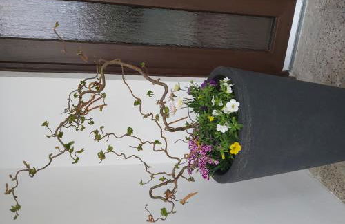 Ferienhaus zum Holzmichel - Foto 19