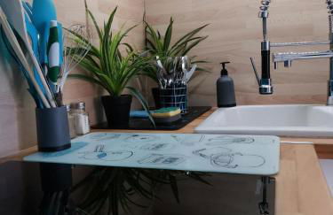 appartement vue mer,accès direct plage,fibre,clim,parking public gratuit - Foto 39