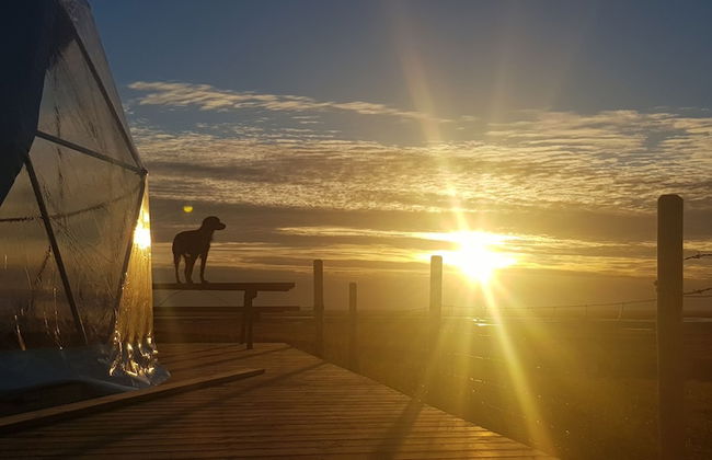 Eyja Mörk & Bubble Bedroom - Foto 46