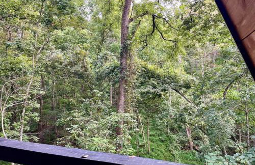 Ozark Retreat-Black Walnut Bungalow - Foto 13