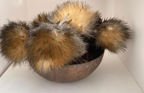 Casa Julietta - Foto 39